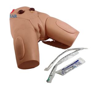 वरिष्ठ महिला जननांग कैथीटेराइजेशन चिकित्सा शिक्षण सिम्युलेटर - Product Image 1