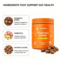 Waylemo Probiotiques à Mâcher pour la Restauration de la Flore Intestinale, Soutien des Enzymes Digestives, Friandises à la Graine de Citrouille pour Chiens et Chats, 120 Unités