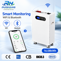Système de stockage d'énergie domestique 16 kWh, batterie LiFePO4 51,2 V 314 Ah avec BMS intelligent et moniteur WiFi tout-en-un pour système solaire résidentiel