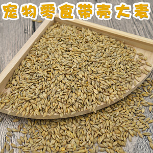 Alimento para Mascotas de Cebada 500g, Comida para Animales Pequeños, para Hámster, Conejo, Chinchilla, Conejillo de Indias, Golosinas para Pájaros - Product Image 2