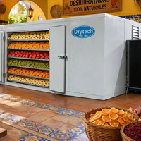 Multifunctionele droogmachine voor appels en mango's