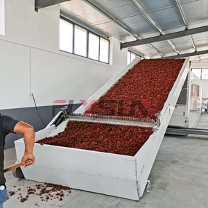 Chaîne de production complète pour le lavage, le séchage et l'emballage des piments en tranches, équipement de déshydratation des piments rouges - Product Image 3