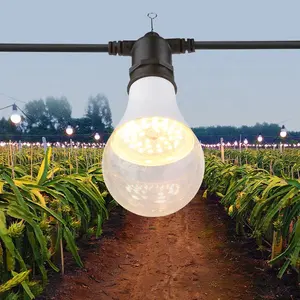 Plant growth fill lights for producing high-quality produce in farm orchards make more flowering and fruiting out of season