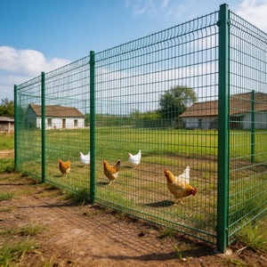 Prix direct usine – Rouleau de grillage soudé revêtu de PVC, <span class=keywords><strong>panneaux</strong></span> de clôture <span class=keywords><strong>galvanisés</strong></span> durables <span class=keywords><strong>pour</strong></span> poulaillers, ouverture de 25 mm, personnalisable - Product Image 6