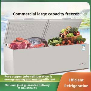 Congélateur Commercial Rapide à Double Porte Vitrée pour Poisson et Crème Glacée, Réfrigérateur et Congélateur pour la Maison - Offre Spéciale - Product Image 2