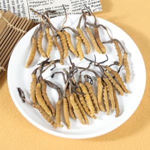 Melhor Preço Qualidade Natural <span class=keywords><strong>cordyceps</strong></span> militaris Bulk Oragnic Cru congelado seco tiens <span class=keywords><strong>Cordyceps</strong></span> <span class=keywords><strong>sinensis</strong></span> - Product Image 5