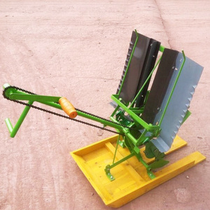 Manual Rice Planting Machine 2 Row Hand Rice <strong>Seeder</strong> <strong>Transplanter</strong> Walking Behind Paddy Seedling in Philippines - Product Image 4