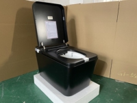 Toilette intelligente électrique sanitaire en gros avec siège chauffant, télécommande et drainage mural P-Trap/S-Trap