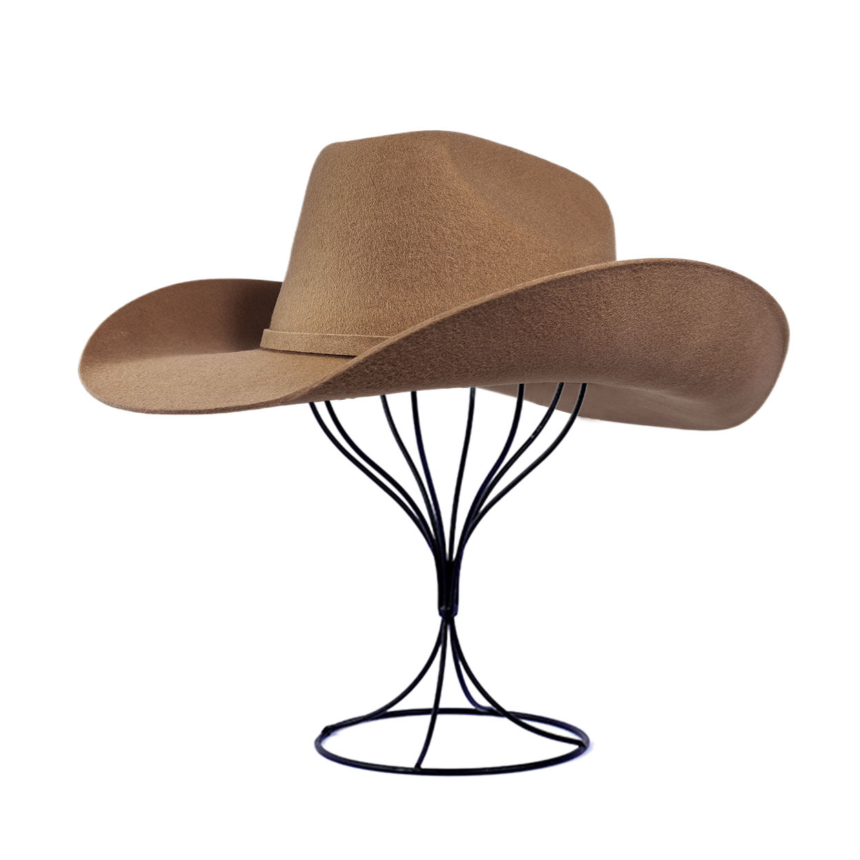 สีน้ำตาล