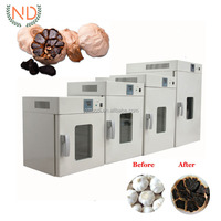 Équipement de fermentation à domicile, fermenteur d'ail de laboratoire, machine de fermentation de l'ail noir en vente