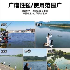 Polvo Atractante para Peces JYNB V7 40g Alta Concentración para Pesca de Carpa Crucian y Carpa de Hierba - Product Image 3
