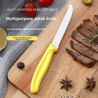 Couteau à steak occidental en acier inoxydable, tête de couteau à steak de 8 pouces, multifonctionnel, petite scie, couteau à pain, couteau à toast dentelé, moderne et simple