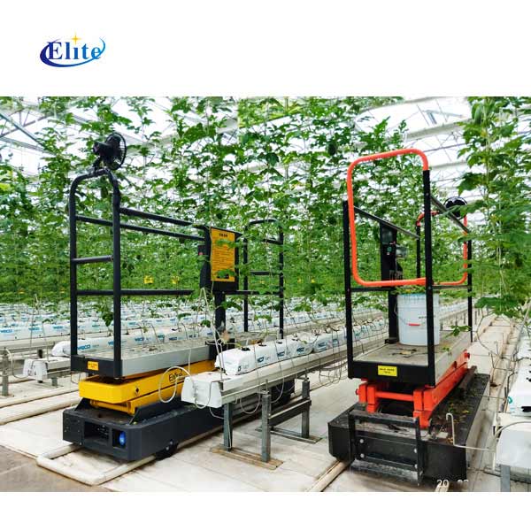 Рельсовая тележка для теплиц, для сбора томатов, сельскохозяйственных теплиц