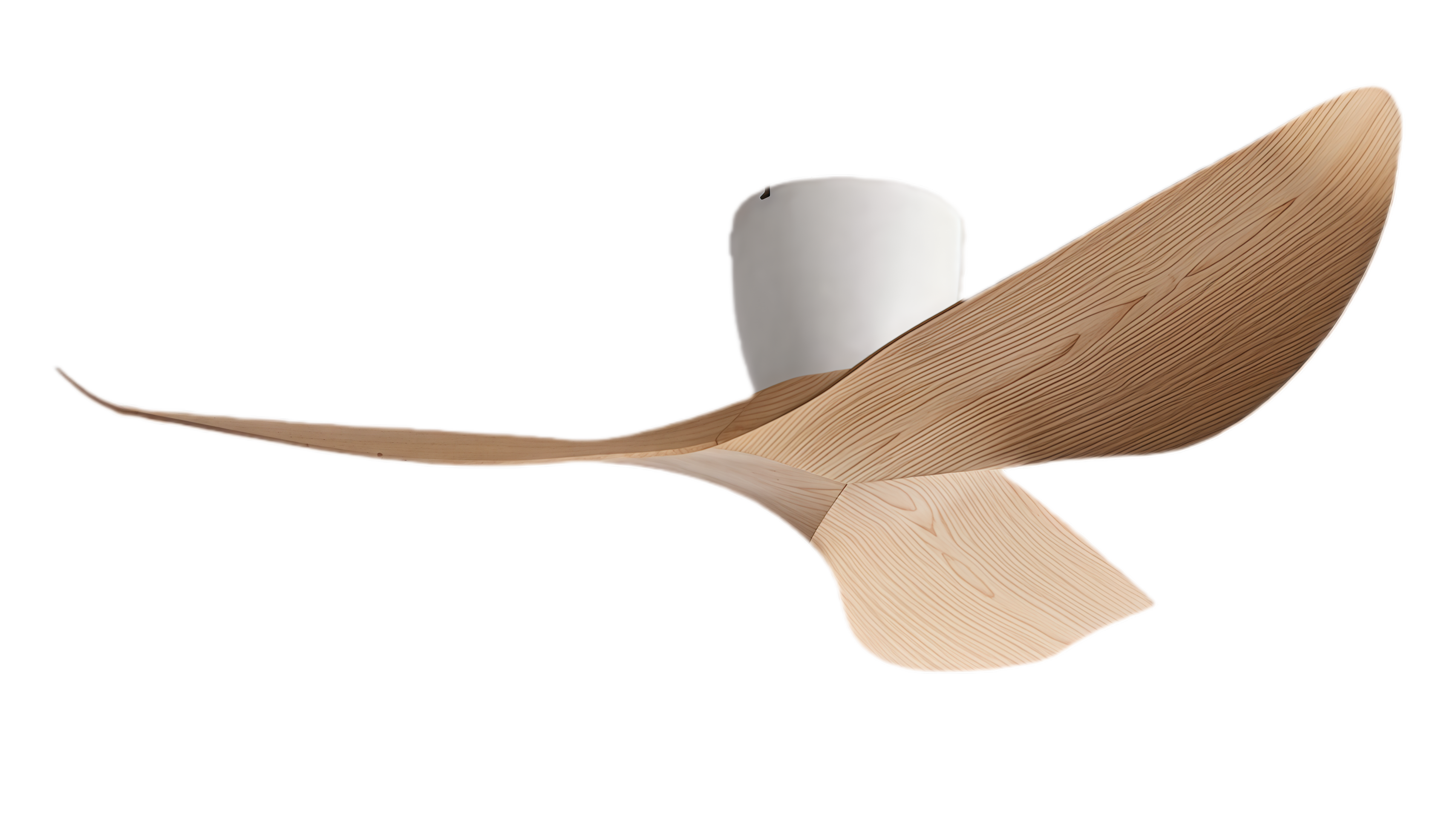 White Wood Grain