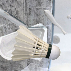 Volant de <span class=keywords><strong>badminton</strong></span> <span class=keywords><strong>Victor</strong></span> Gold No.1 en plumes de canard - Product Image 3