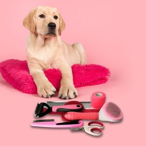 ピンク犬用ヘアグルーミングキットセルフクリーニングステンレススチール櫛デマバスブラシフリーコームプラスチック材料 - Product Image 5