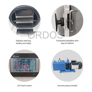 Mini máquina liofilizadora de uso doméstico, capacidad de 4-13 libras con 3 o 4 bandejas para Carambar Ginseng, equipo de servicio de productos de azúcar - Product Image 3