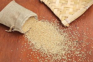 Meilleures graines de millet Kodo, blanches, complètes, riches en protéines, qualité alimentaire, en vrac, pour la cuisine et la nutrition - Product Image 3