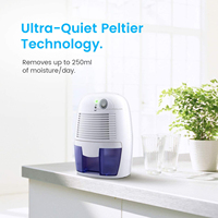 Mini déshumidificateur Peltier, fabricant OEM, portable, électrique, réservoir d'eau de 500 ml, absorbeur d'humidité pour chambre à coucher, salle de bain, petite pièce