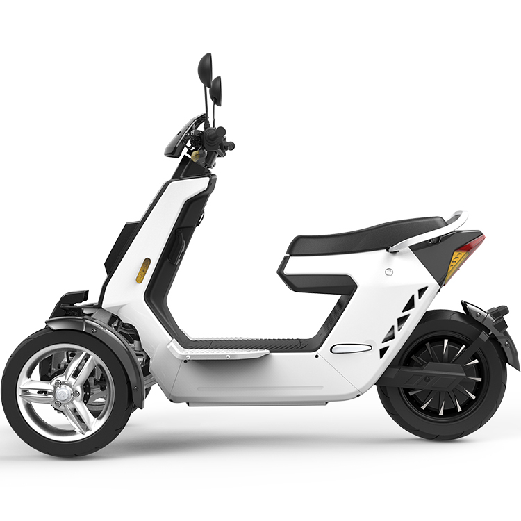 Vista L1 Adult Motorized Tricycle 2