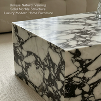 Table basse rectangulaire en marbre naturel sur mesure, socle massif, pour projets résidentiels haut de gamme, salon.