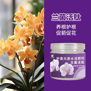 Engrais soluble dans l'eau pour orchidées, granulés moyens à libération lente, 200g, pour Phalaenopsis et Clivia - Product Image 3
