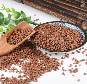 Produit à base de plantes chinoises de haute qualité Ting <span class=keywords><strong>Li</strong></span> Zi : Herbes qui purifient les poumons, soulagent l'asthme, éliminent l'eau et réduisent les gonflements - Product Image 1
