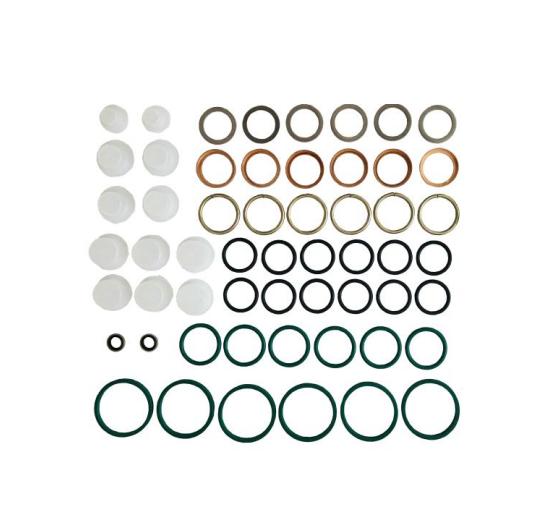 Wholesale Diesel Fuel Injection Pump Part 2 417 010 010 Repair Kit 2417010010 (800019) With High Quality