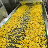 Nieuwe Franse Bevroren Kleinschalige Knapperige Gebakken Aardappelchips Maker Fruit En Plantaardige Productielijn Frituurmachine