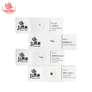 Biological Specimen Slide Set (25 slides / 50 slides) - Brand New Combination, Clear and Vivid Content, <b>Microscope</b> Accessories, - Product Image 1
