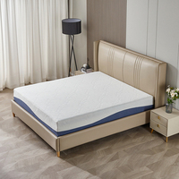 Matelas à mémoire de forme en latex naturel souple certifié par Certipur Us Luxury Queen Twin Xl Rectangle