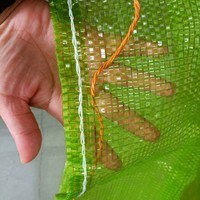 Fabrieksvoorraad 46*76cm Groothandelsprijs Kleur Groen Rood PP Tubulaire Circulaire Geweven Mesh Zak voor het verpakken van sinaasappels