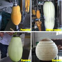 Peau de papaye d'ananas de citrouille d'acier inoxydable enlevant la machine d'épluchage d'ananas de mangue de machines