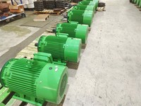 Moteur électrique asynchrone triphasé IE2 Premium 6 pôles 350 CV 208-230/460V 60Hz avec bobinage 100% cuivre IP55
