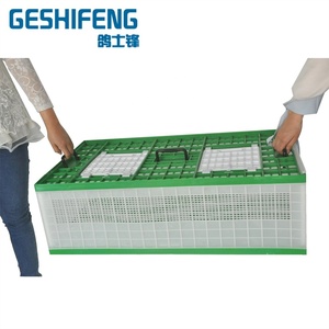 Gabbia in Plastica per Pollame, Gabbia per Uccelli, Gabbia per Trasporto Piccioni da Corsa - Product Image 5