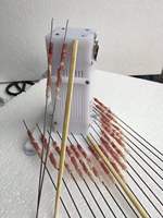 Machine à Kebab Automatique en Acier Inoxydable à Haute Capacité avec Moteur et Pompe, Prix Usine, pour Viande et Poulet, Certifiée CE