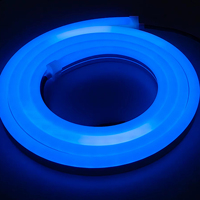 Bande LED Pixel 24V, bande néon flexible, éclairage de tunnel, plafond, scène, intérieur/extérieur