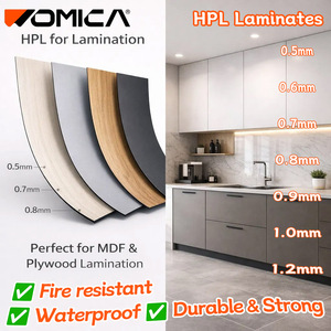 Paneles <span class=keywords><strong>de</strong></span> Puerta Womica HPL con Acabado <span class=keywords><strong>de</strong></span> Madera Premium <span class=keywords><strong>de</strong></span> 0.8mm o 1mm para Interiores Elegantes - Product Image 1