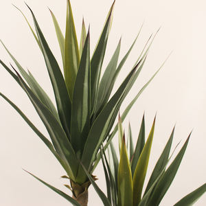 Planta Artificial de <span class=keywords><strong>Agave</strong></span> de Gran Tamaño, Planta Alta con Maceta, Árbol de Yuca, Decoración de Interiores de Alta Calidad para el Hogar - Product Image 4