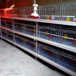 Buona qualità Broiler pollaio H tipo 60/80 uccelli animale avicolo sistema di allevamento zincato batteria polli gabbie per polli - Product Image 2