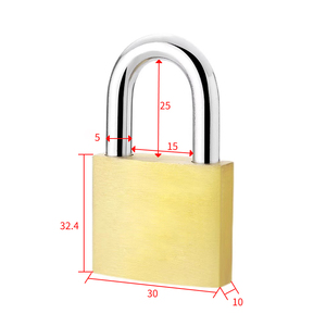 Cadenas en laiton à manille en acier personnalisé Dragon Domain Premium Security 30mm, 50mm, 70mm - Product Image 3