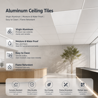 Panneaux de plafond en aluminium sur mesure, finition décorative, design moderne, faible MOQ, usage commercial