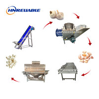 Commerciële professionele roestvrijstalen knoflookverwerkingslijn apparatuur knoflook schilmachine productielijn motorlager