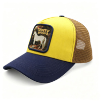 Casquettes de camionneur Richardson 112 à 5 panneaux, broderie, snapback, patchs animaux, gorras para personalizar, casquette de camionneur personnalisée, haute qualité