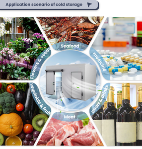 Chất Lượng Cao 20ft Bình Thường Feozen Thịt <span class=keywords><strong>Container</strong></span> Thực Phẩm Lưu Trữ Phòng Đi Bộ Trong Tủ Đông Di Động <span class=keywords><strong>Container</strong></span> Phòng Lạnh - Product Image 4