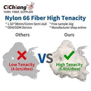 เส้นใยไนลอน 6 แบบสั้น HT เส้นใยปั่นความเหนียวสูง เป็นมิตรกับสิ่งแวดล้อม ทนไฟ ผิวสัมผัสกึ่งด้าน เส้นใยแข็งแรง - Product Image 2