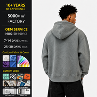 Sweat à capuche pour homme, personnalisé, brodé, imprimé, OEM, qualité supérieure, pour marque de mode, approvisionnement en gros