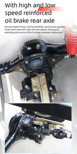 <strong>Compact</strong> and Flexible Three Wheeled Gasoline Passenger Car Motorcycle/fuel Powered <strong>Tricycle</strong> - Product Image 2