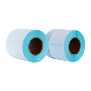 Nhà Máy Giá Không Thấm Nước Màu Vận Chuyển Nhiệt Nhãn 70*50Mm Trực Tuyến Vận Chuyển Trang Phục Vận Chuyển Nhãn Máy Tạo Nhãn - Product Image 4