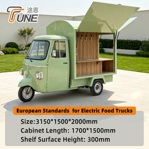 Triciclo Eléctrico de Carga de 3 Ruedas para Venta Ambulante 220V, Carrito de Comida Móvil de Acero Inoxidable - Product Image 4
